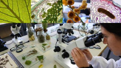 imagen Botánica Agrícola