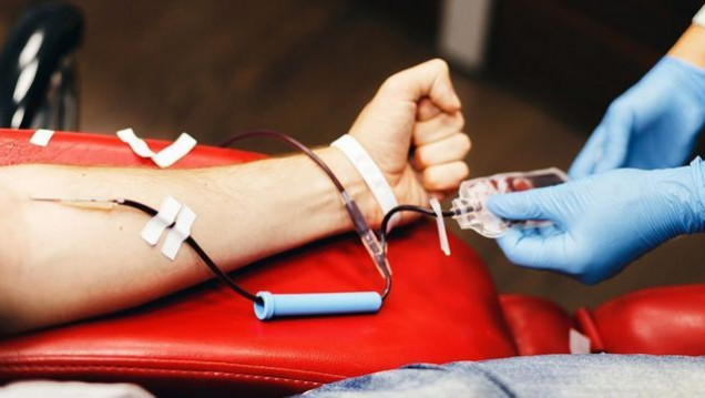 imagen Ciencias Agrarias será sede de la campaña de donación de sangre en la Universidad