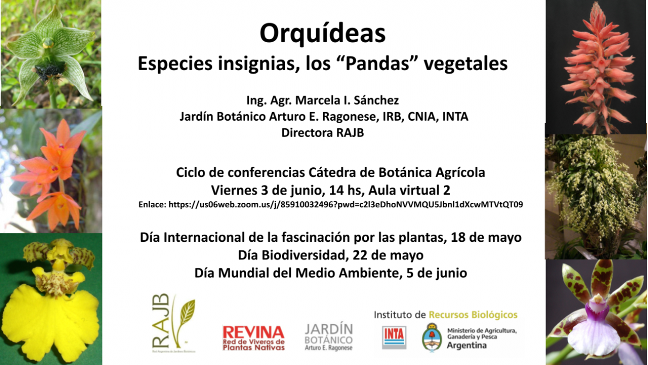 imagen Invitan a conferencia de "Orquídeas. Especies insignias, los "Pandas" vegetales"