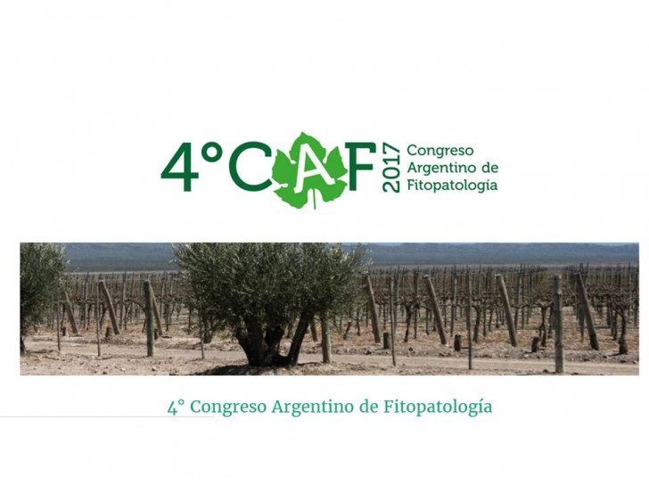 imagen Preparan el 4º Congreso Argentino de Fitopatología
