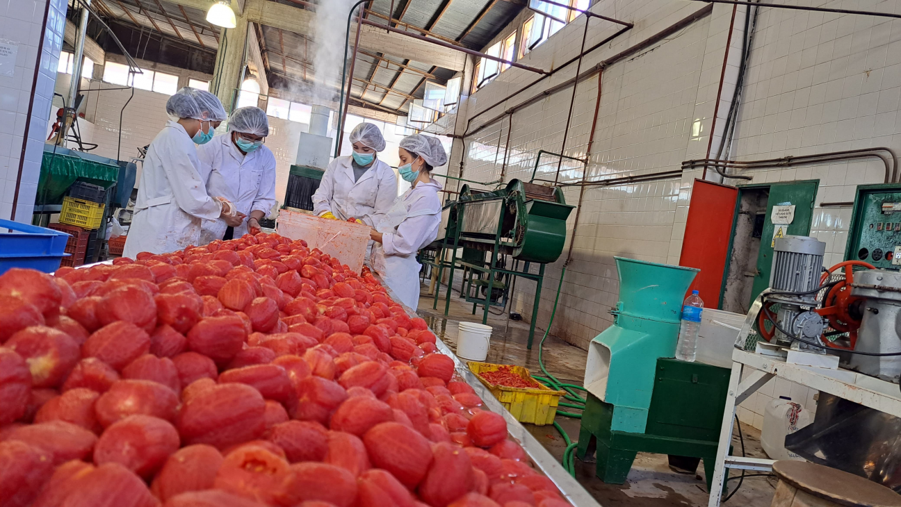 imagen Inscriben al "Curso-taller productos frutihortícolas con valor agregado: conservas vegetales"