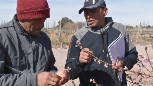 imagen La Facultad de Ciencias Agrarias presenta la 4° edición de la Escuela de Encargados de Finca