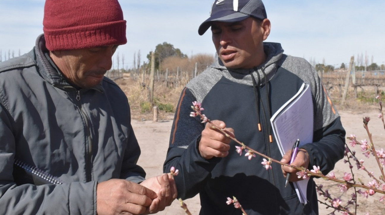 imagen La Facultad de Ciencias Agrarias presenta la 4° edición de la Escuela de Encargados de Finca