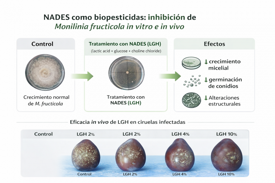 imagen Invitan al quinto encuentro del Ciclo de Seminarios IBAM 2026