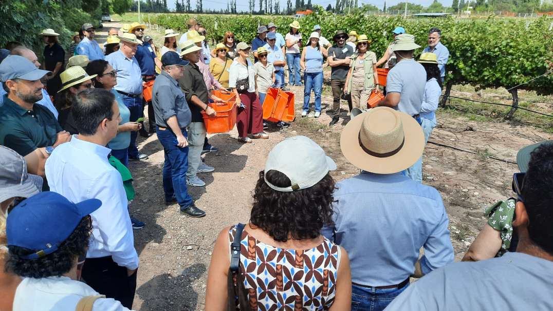 imagen Ciencias Agrarias reunió a referentes de la educación agropecuaria del país como sede del Primer Plenario de AUDEAS 2026