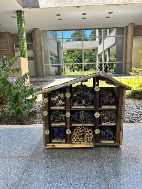 imagen Creatividad en acción: Presentación de estructuras innovadoras en el concurso de cajas, nidos y hoteles de insectos