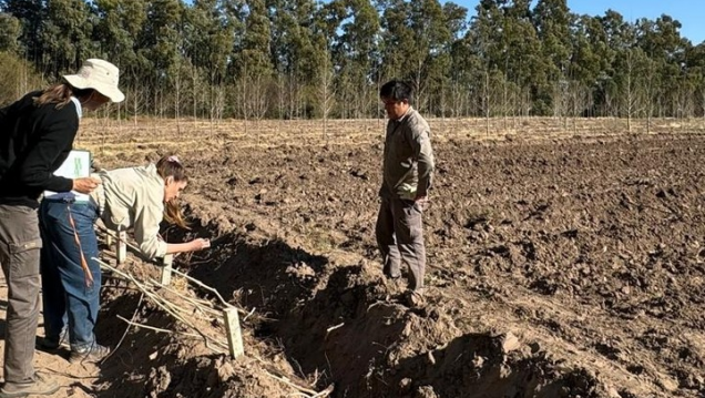 imagen Ciencias Agrarias y el INTA Junín unen fuerzas en pos de la innovación y la sostenibilidad de la producción forestal