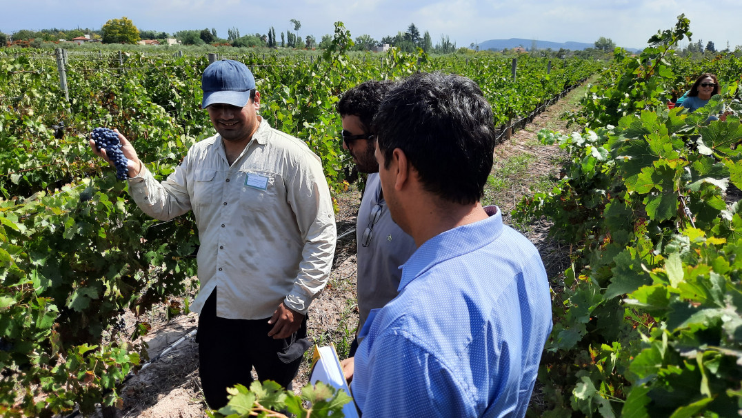 imagen Ciencias Agrarias reunió a referentes de la educación agropecuaria del país como sede del Primer Plenario de AUDEAS 2026