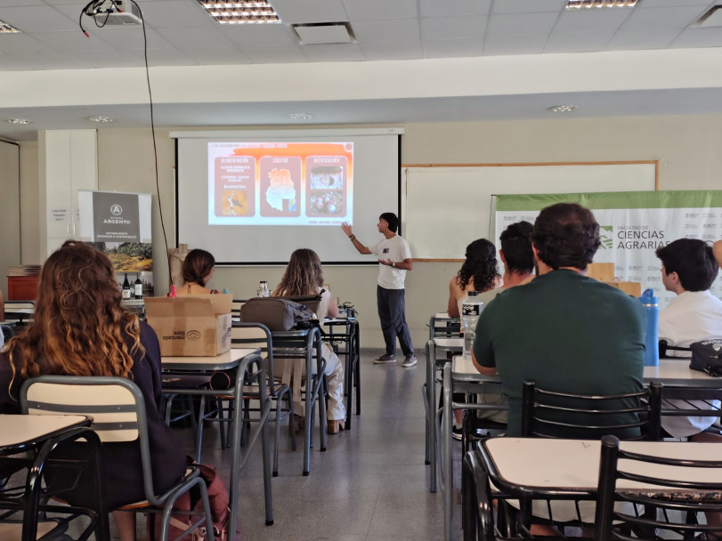 imagen Con propuestas creativas, se realizó la exhibición y premiación del Concurso de Cajas Nido para aves entomófagas en Ciencias Agrarias
