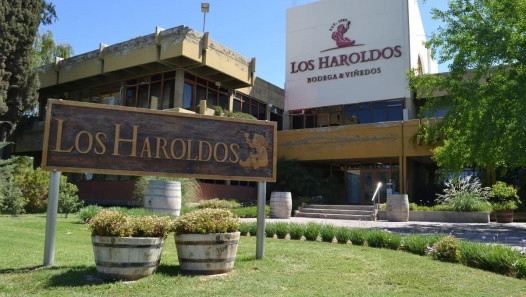 imagen Bodega Los Haroldos busca estudiantes de agronomía para Prácticas Profesionales en Mendoza