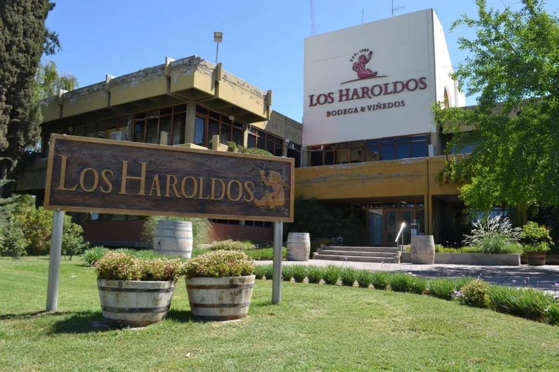 imagen Bodega Los Haroldos busca estudiantes de agronomía para Prácticas Profesionales en Mendoza