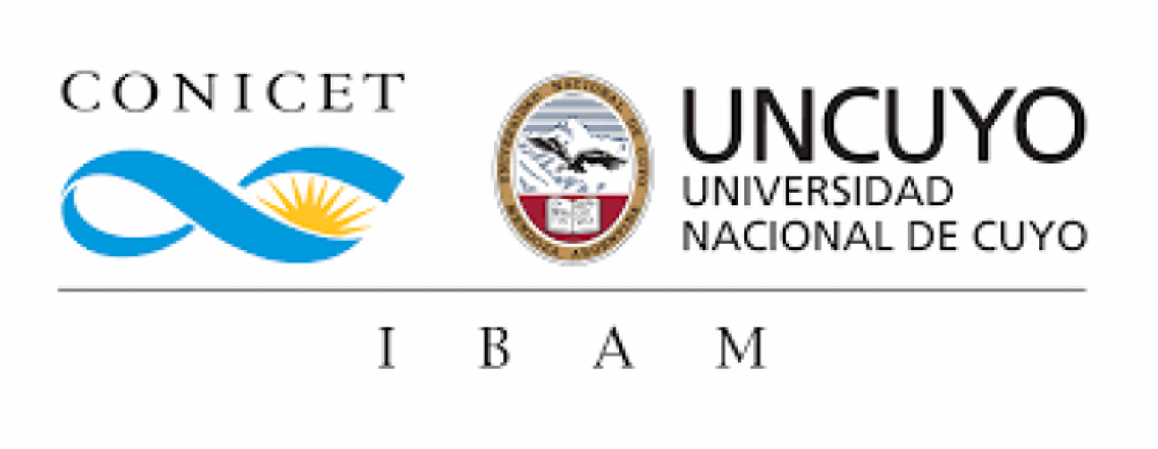 imagen Invitan al próximo encuentro del Ciclo de Seminarios IBAM 2022