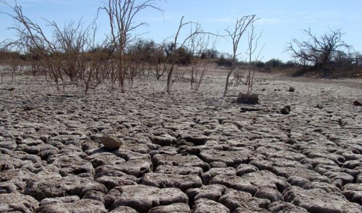 imagen Invitan a charla sobre desertificación, adaptación al cambio climático y ética ambiental