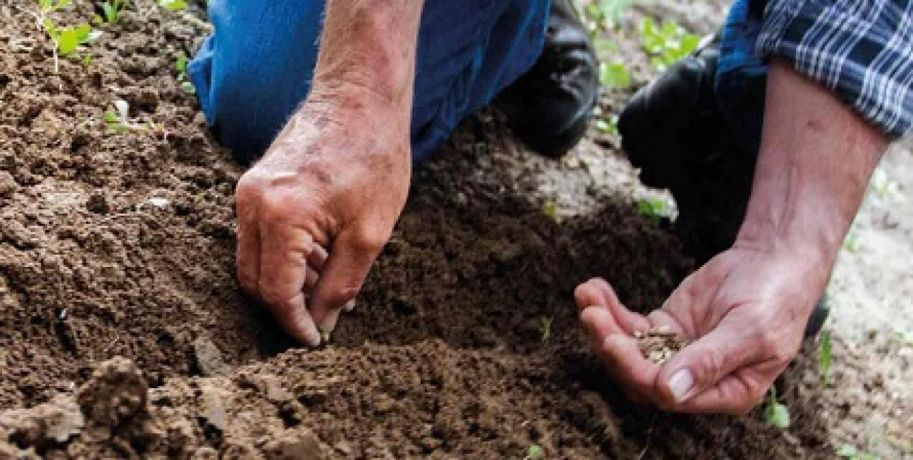 imagen Día de la Conservación de los Suelos: una responsabilidad de todos