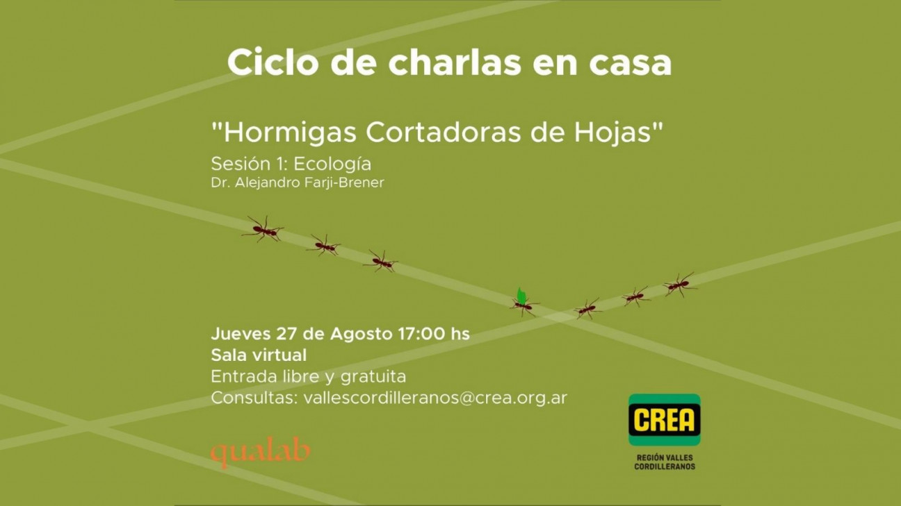 imagen El grupo CREA invita a: "Ciclo de charlas en casa"