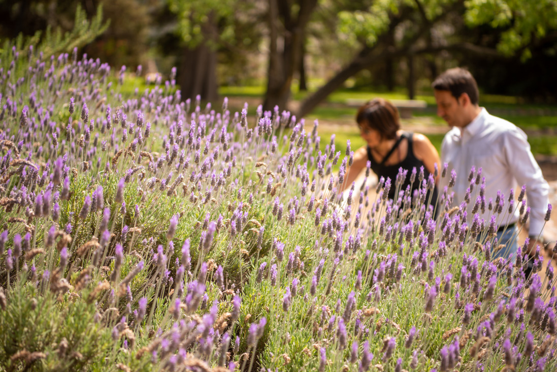 imagen "Jardín Botánico de Ciencias Agrarias", patrimonio cultural e histórico de Mendoza