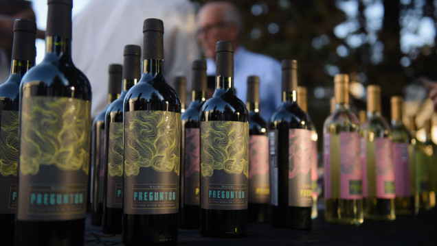 imagen Ciencias Agrarias presentó sus nuevas marcas para vinos, espumantes y aceites de oliva