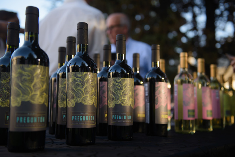 imagen Ciencias Agrarias presentó sus nuevas marcas para vinos, espumantes y aceites de oliva
