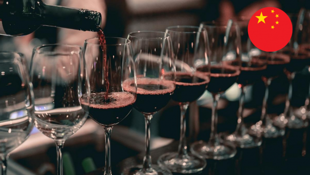 imagen Degustación de vinos de Ningxia: El despertar del "Burdeos" de Oriente