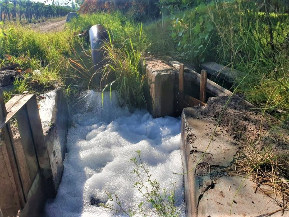 imagen Objetivo hídrico alcanzado por Ciencias Agrarias en el mes internacional del agua