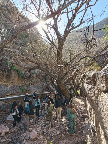 imagen Estudiantes de Ingeniería en Recursos Naturales Renovables realizaron el viaje de estudios de Recursos Forestales Nativos
