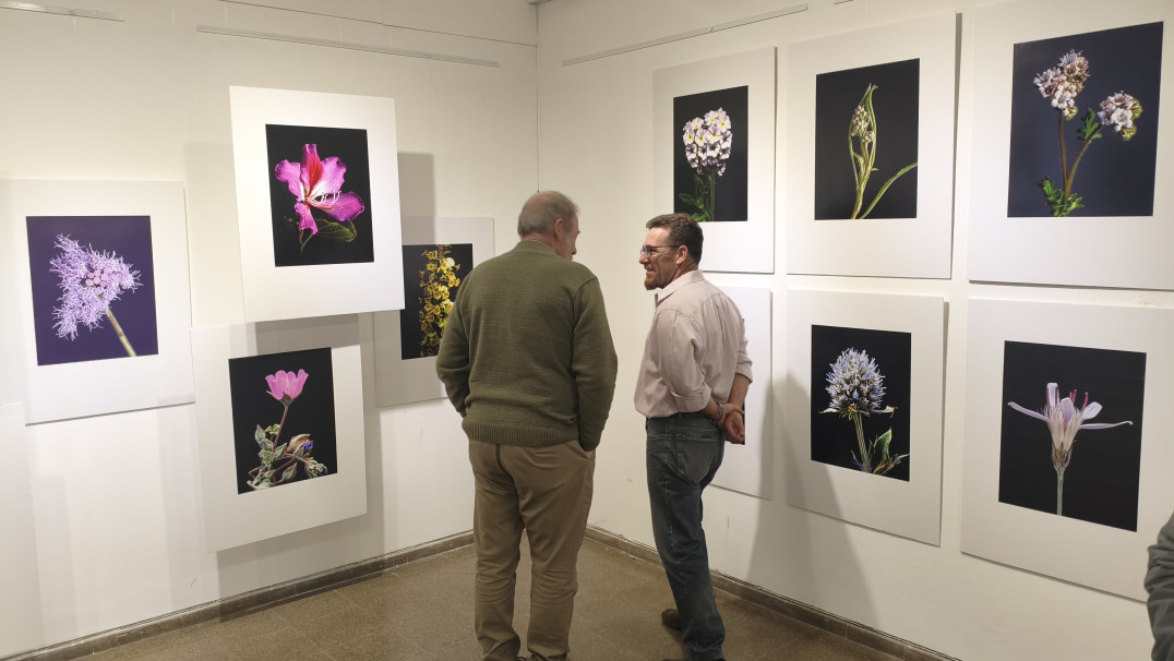 imagen "Floralia Silvestra": Raíces inauguró una muestra fotográfica dedicada a las flores