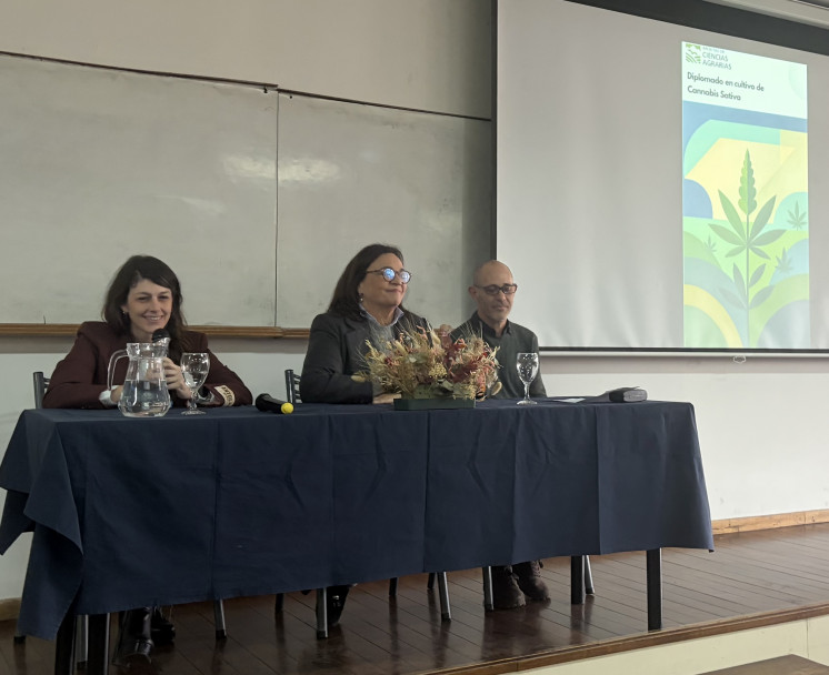 imagen La Facultad de Ciencias Agrarias celebró la graduación de la primera cohorte del Diplomado en Producción de Cannabis Sativa