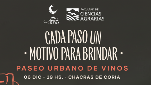 imagen Noche de Copas celebra una nueva Edición en Chacras de Coria