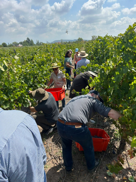 imagen Ciencias Agrarias reunió a referentes de la educación agropecuaria del país como sede del Primer Plenario de AUDEAS 2026