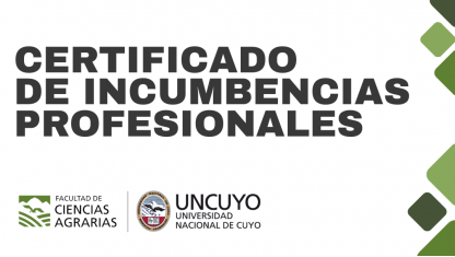 imagen Certificado de Incumbencias Profesionales
