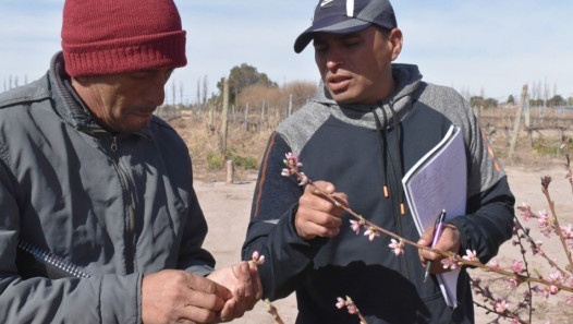 imagen La Facultad de Ciencias Agrarias presenta la 5° edición de la Escuela de Encargados de Finca