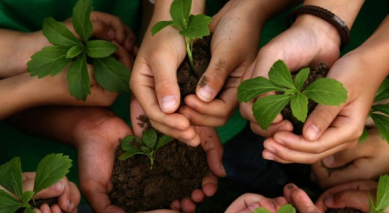 imagen Día Mundial de la Educación Ambiental: el derecho a un entorno sano y equilibrado