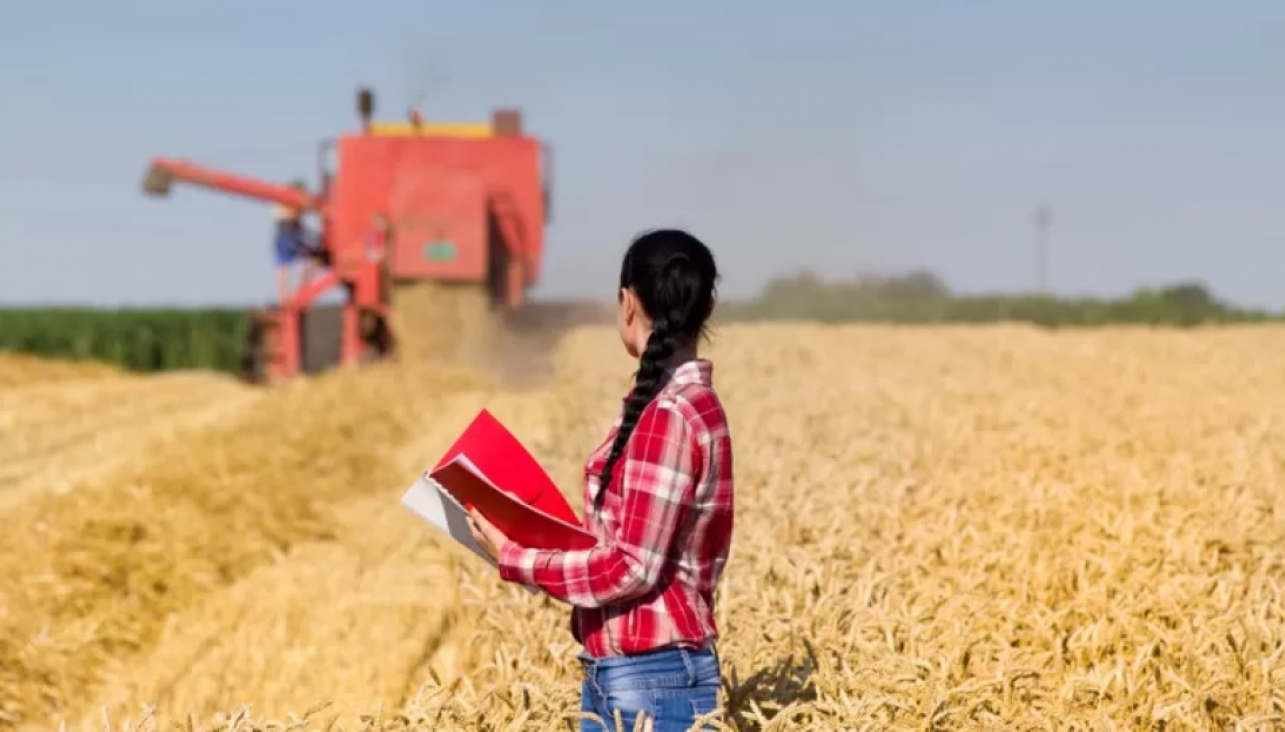 imagen 6 de Agosto: el valor de la Enseñanza Agropecuaria