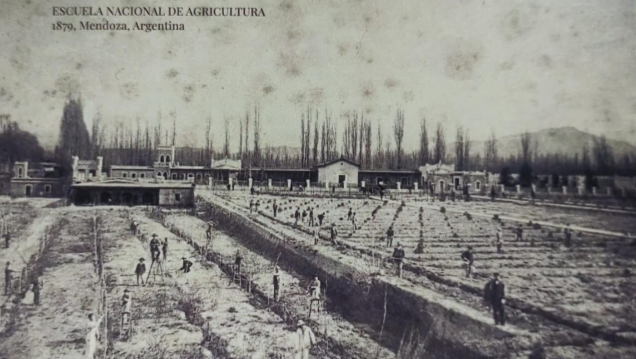 imagen Celebramos 153 años de historia: La Escuela Nacional de Agricultura y su legado
