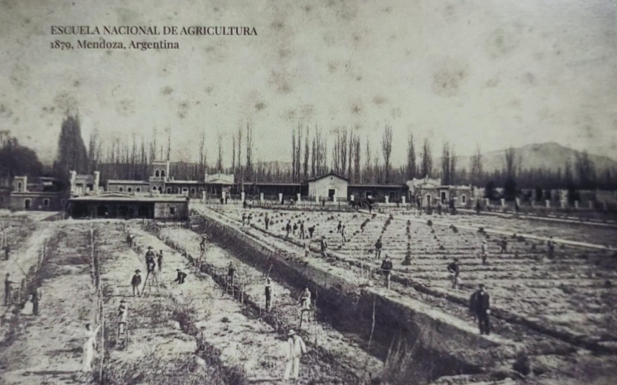 imagen Celebramos 153 años de historia: La Escuela Nacional de Agricultura y su legado