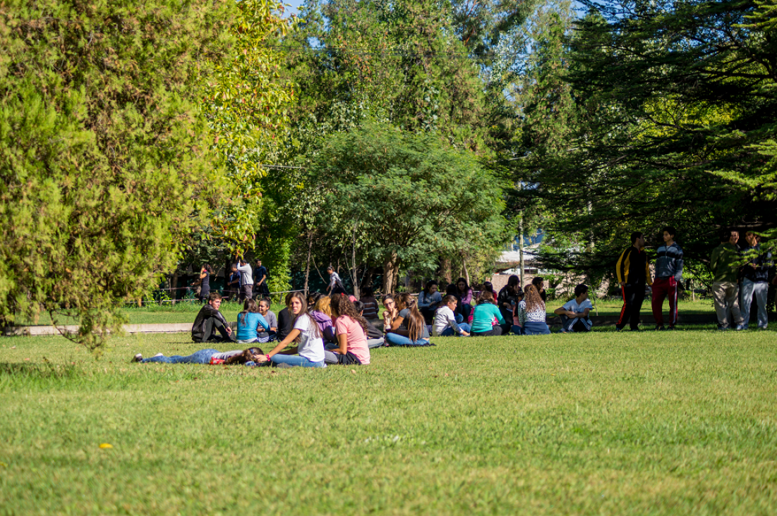 imagen La Secretaría de Asuntos Estudiantiles y Bienestar de la Comunidad otorgó 73 becas a estudiantes de la FCA