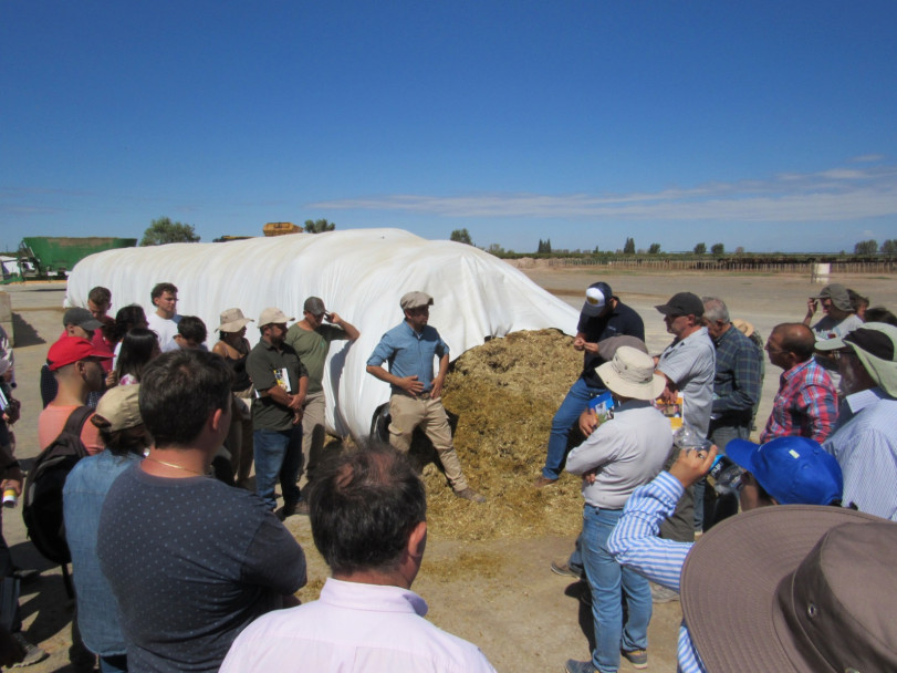 imagen Inscriben a la electiva "Sistemas de producción de forrajes" de la Cátedra Agricultura Especial