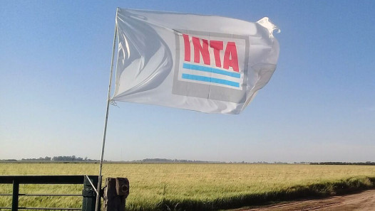 imagen La Facultad de Ciencias Agrarias se pronuncia en defensa del INTA y del sistema científico-tecnológico público