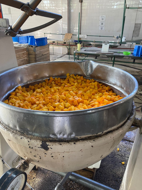 imagen ¿Por qué el Zapallo en Almíbar de la Facultad es único en el mercado de Mendoza?