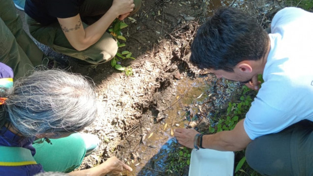 imagen La Facultad de Ciencias Agrarias será sede del 4º Encuentro de Tecnologías Libres para el Monitoreo Ambiental Participativo