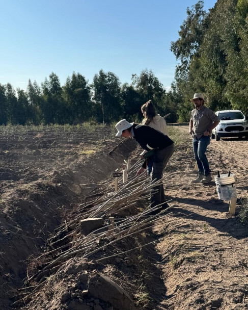 imagen Ciencias Agrarias y el INTA Junín unen fuerzas en pos de la innovación y la sostenibilidad de la producción forestal