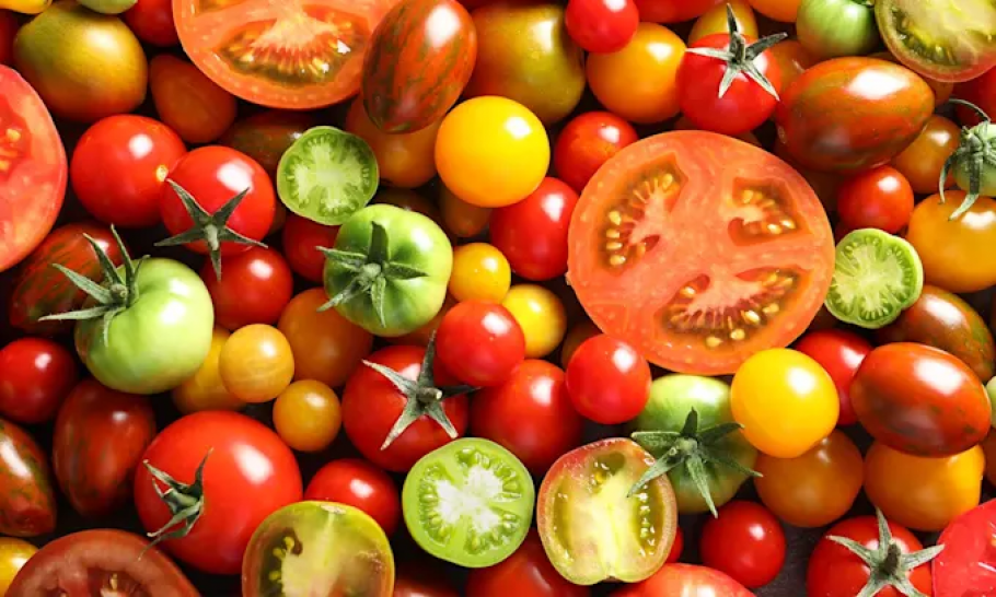 imagen Proyecto Labrar de Casa Vigil te invita a vivir la Clínica del Tomate