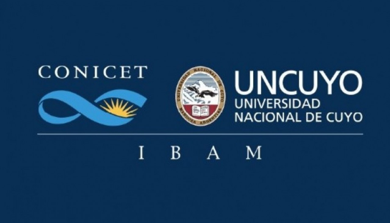 imagen Invitan al octavo encuentro del Ciclo de Seminarios IBAM 2025