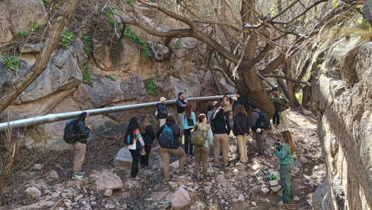 imagen Estudiantes de Ingeniería en Recursos Naturales Renovables realizaron el viaje de estudios de Recursos Forestales Nativos