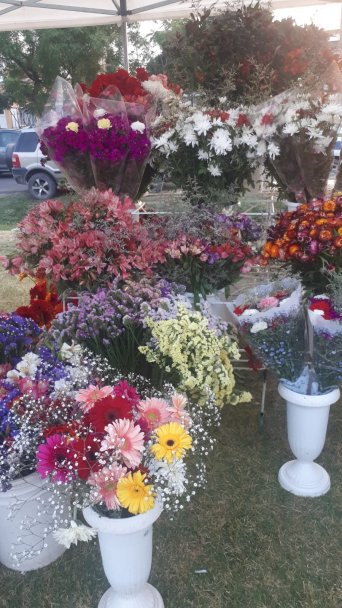 imagen Se realizó muestra de flores y plantas con gran afluencia de público