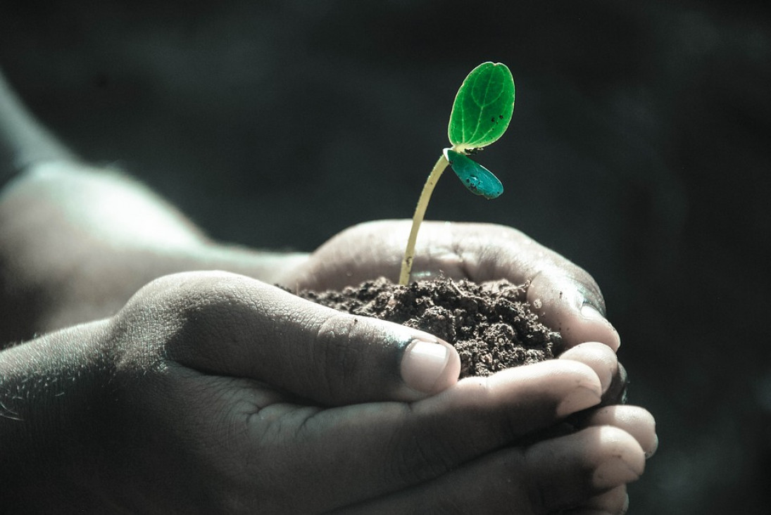 imagen Empresa de insumos para el agro busca Ingeniero Agrónomo para el Valle de Uco