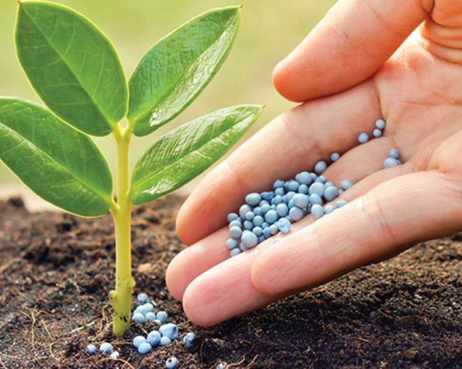 imagen Oferta Laboral para Ingenieros Agrónomos