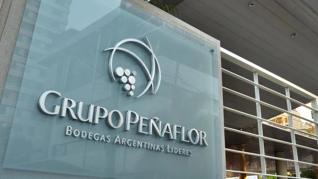 imagen Formá parte del Grupo Peñaflor durante la Vendimia 2024