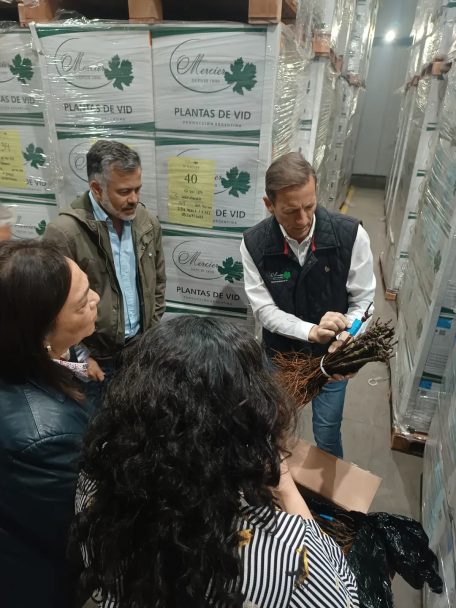 imagen Ciencias Agrarias y Vivero Mercier refuerzan vínculos con una visita institucional