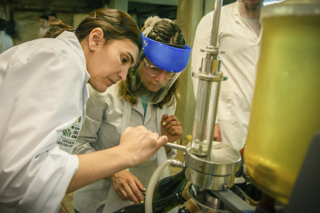 imagen Invitan a estudiantes avanzados al encuentro "De la Universidad al mundo agroindustrial"